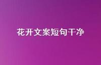 花开文案短句干净【100句精选短句合集】 花开文案短句干净【100句精选短句合集】