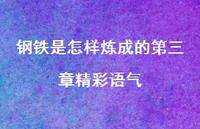 钢铁是怎样炼成的第三章精彩语气【100句精选短句合集】