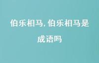 伯乐相马是成语吗【精品文案100句】 伯乐相马是成语吗【精品文案100句】