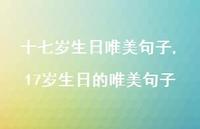 17岁生日的唯美句子【精选100句】 17岁生日的唯美句子【精选100句】