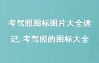 考驾照的图标大全(100句)