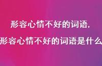 形容心情不好的词语是什么【精品文案100句】 形容心情不好的词语是什么【精品文案100句】