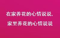 家里养花的心情说说(100句) 家里养花的心情说说(100句)