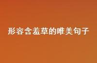 形容含羞草的唯美句子46句汇总