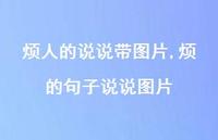 烦的句子说说图片【100句文案】 烦的句子说说图片【100句文案】