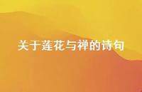 关于莲花与禅的诗句(精选69句) 关于莲花与禅的诗句(精选69句)