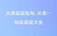 兄弟一句话说说大全(100句) 兄弟一句话说说大全(100句)