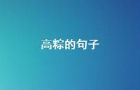 高粽的句子【100句精选短句合集】 高粽的句子【100句精选短句合集】