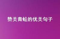 赞美青蛙的优美句子(精选67句)