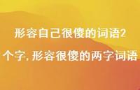 形容很傻的两字词语(100句)