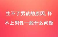 怀不上男性一般什么问题【100句文案】 怀不上男性一般什么问题【100句文案】