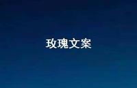 玫瑰文案【100句精选短句合集】 玫瑰文案【100句精选短句合集】