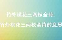 竹外桃花三两枝全诗的意思【100句文案精选】 竹外桃花三两枝全诗的意思【100句文案精选】