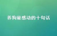养狗最感动的十句话(精选67句) 养狗最感动的十句话(精选67句)
