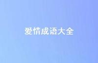 爱情成语大全65句汇总
