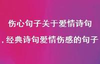 经典诗句爱情伤感的句子(100句)