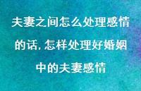 怎样处理好婚姻中的夫妻感情(100句) 怎样处理好婚姻中的夫妻感情(100句)
