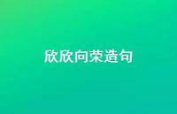 欣欣向荣造句54句汇总