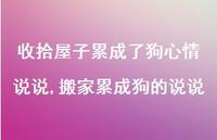 搬家累成狗的说说(100句) 搬家累成狗的说说(100句)
