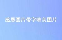 感恩图片带字唯美图片67句汇总 感恩图片带字唯美图片67句汇总