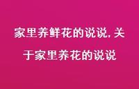 关于家里养花的说说(100句) 关于家里养花的说说(100句)