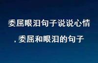 委屈和眼泪的句子(100句)