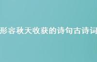形容秋天收获的诗句古诗词(精选63句) 形容秋天收获的诗句古诗词(精选63句)