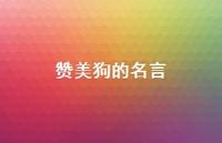赞美狗的名言(精选49句)