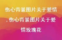 伤心背景图片关于爱情玫瑰花(100句) 伤心背景图片关于爱情玫瑰花(100句)