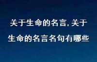 关于生命的名言名句有哪些【精品文案100句】 关于生命的名言名句有哪些【精品文案100句】