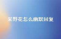 采野花怎么幽默回复【87句精选短句合集】 采野花怎么幽默回复【87句精选短句合集】