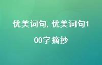 优美词句100字摘抄【精品文案100句】