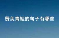 赞美青蛙的句子有哪些(精选43句)