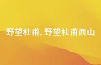 野望杜甫西山【精品文案100句】 野望杜甫西山【精品文案100句】
