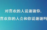 喜欢你的人会和你说谢谢吗(100句) 喜欢你的人会和你说谢谢吗(100句)