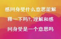 理解和感同身受是一个意思吗(100句) 理解和感同身受是一个意思吗(100句)