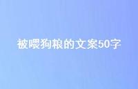 被喂狗粮的文案50字【100句精选短句合集】