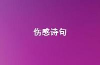 伤感诗句40句汇总