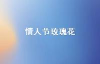 情人节玫瑰花36句汇总 情人节玫瑰花36句汇总