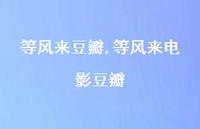等风来电影豆瓣【100句文案精选】