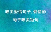 爱情的句子唯美短句【精品文案100句】