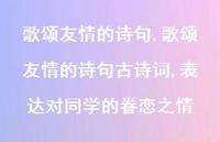 歌颂友情的诗句古诗词,表达对同学的眷恋之情【100句文案精选】