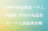你知不知道思念一个人的滋味原唱(100句)