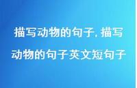 描写动物的句子英文短句子【100句文案精选】