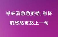 举杯消愁愁更愁上一句【精品文案100句】 举杯消愁愁更愁上一句【精品文案100句】