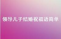 领导儿子结婚祝福语简单合集70句精选