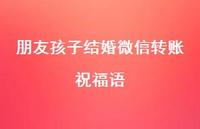 朋友孩子结婚微信转账祝福语合集49句精选 朋友孩子结婚微信转账祝福语合集49句精选