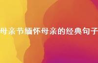 母亲节缅怀母亲的经典句子【100句精选短句合集】