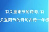有关重阳节的诗句古诗一年级【精品文案100句】