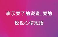 哭的说说心情短语(100句) 哭的说说心情短语(100句)